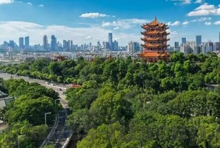 最新比分足球-最新比分足球，激情碰撞，数据背后的热血与梦想